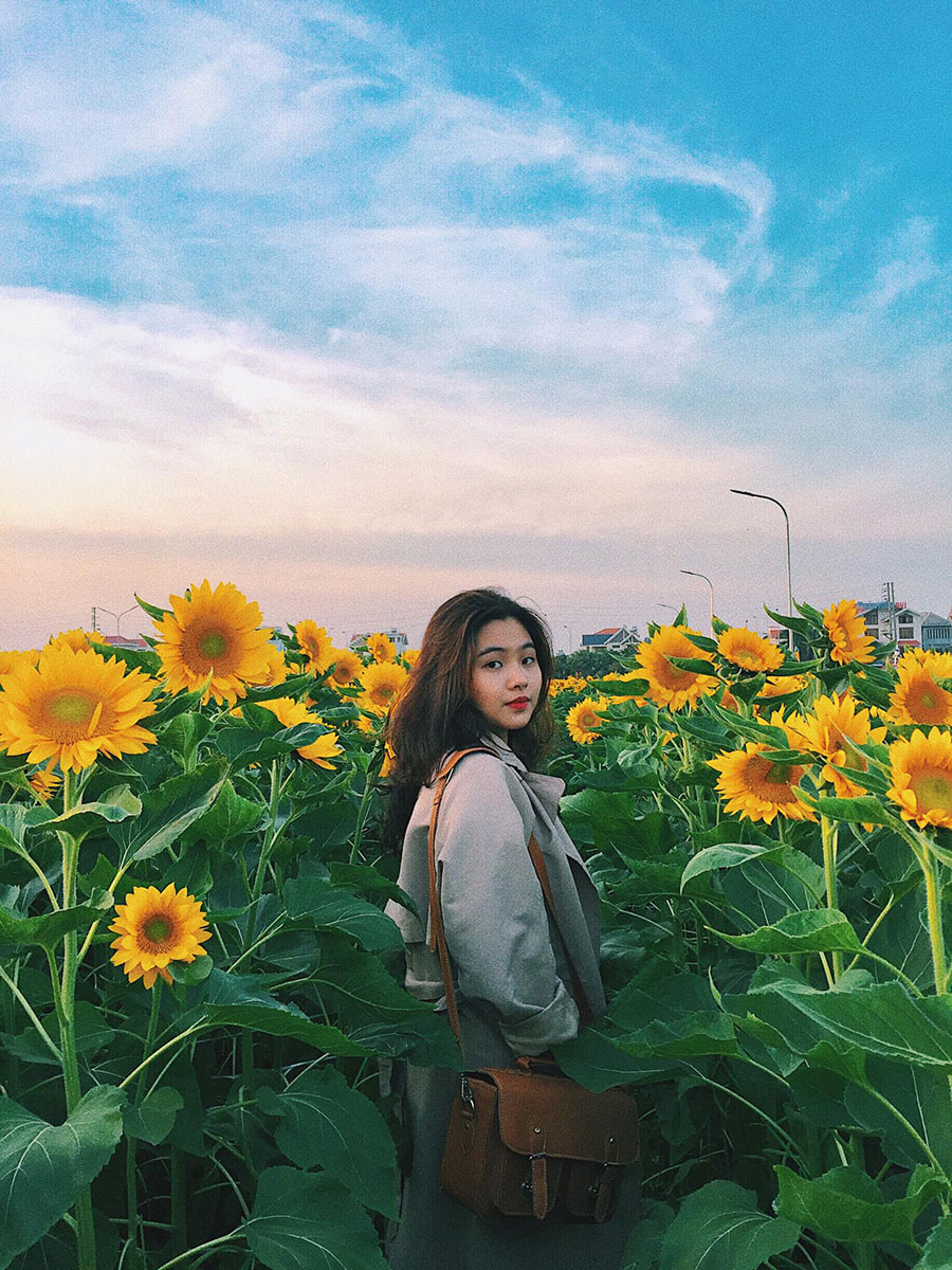 vuon-hoa-huong-duong-3876-1652360327